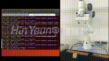 顯揚科技亮相央視直播間
